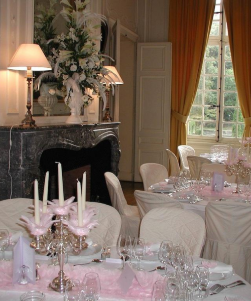 Grand Salon et plumes roses
